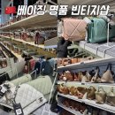 외국중국잡화중국행사 | 중국 북경 여행 베이징 가볼만한곳 최대 명품 빈티지샵 핫플 차오지좐좐