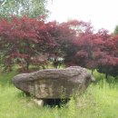 고대리 지석묘군 이미지