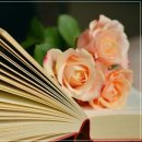 독서논술지도사 기본과정 이미지