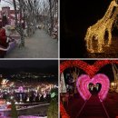 늘해랑농장 | 청도 프로방스 야경 리뷰｜빛과 감성이 어우러진 야경 명소