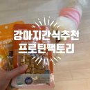 박효리군동물병원 | 애견간식추천 단백질 풍부하고 알레르기 걱정 없는 프로틴팩토리 토이비트 후기
