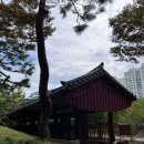 최백호 박주원 콘서트 | 서울근교 갈만한곳, 분당 중앙공원 꽃무릇 거리 (ft. 만개시기, 주차 및 파크콘서트 정보)