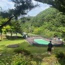 평창듀오애견수영장계곡펜션 | 강원도 애견동반 펜션 대형견도 추가금 없는 평창듀오애견펜션