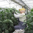 방주농원 이미지