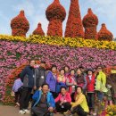 초락2리 이미지