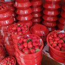 쌍문시장 이미지