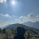 삼성농장 | [간월재] 억새 구경하러 다녀온 간월재 최단코스 후기 (feat.사슴농장 출발)