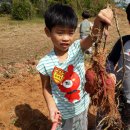 상모마을 이미지