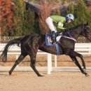 라온슈퍼 이미지