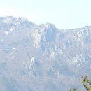 아람체육관 이미지