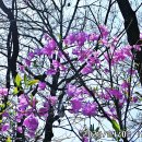 초안산스포츠타운 이미지