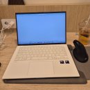 연산LG제2경로당 | 엘지 노트북 LG 그램 14인치 내돈내산 후기 14ZD90T