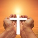 예실목장 이미지