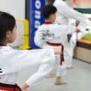 으뜸태권도 이미지