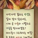 조은일 이미지