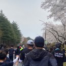 멧돌순두부 | 2025 경주 벚꽃 마라톤 대회(+경주더K호텔사우나+멧돌순두부 후기)