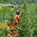 상부농장(2농장) 이미지