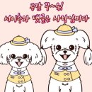 인제고려병원 | 🐶 콩이 허리 삐끗하다?