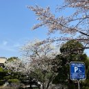 제과기능사(자격증과정 / 주간) 이미지