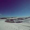 삼양목장 이미지