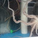 사덕신장로 이미지