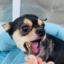 얌얌이푸드 이미지