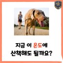 덕소로71번길 20-7 네이버블로그