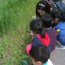 연흥유치원 이미지