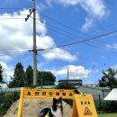 멍스 컨테이너 이미지