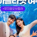 아쿠아1번가