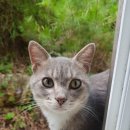 산골공작소 이미지