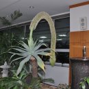 북구청 민원실 이미지