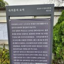 성종대왕 빈 숙의홍씨 기신제 이미지