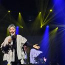 이은미 라이브 투어 녹턴 네이버블로그