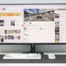 망정동 유해환경 개 | 32인치 QHD모니터 알파스캔 AOC Q32V5E 무결점 모니터 사용후기