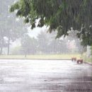 구원의 기쁜소식 974호 이미지