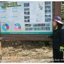 숲이야기 이미지