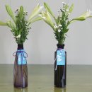 플라워21 이미지