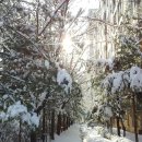 현숙이네 이미지