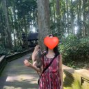 cafe멜팅몽키 | 신들의 섬, 인도네시아 발리 7박 9일 여행 후기 4 / 상게 몽키 포레스트 , 쁭리부란 마을, 고아랑랭 폭포