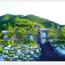 강릉임해자연휴양림 이미지