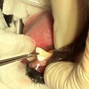 잠실베스트동물메디컬센터 이미지