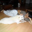 모모농장 이미지