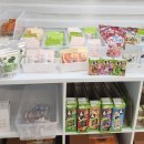 패러그린 이미지