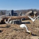 산정마을농로 이미지