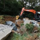 기억의대지 이미지