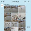 도토리살롱 이미지