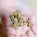 이름소프트 | 강아지 관절 고민이라면? 꾹펫 조인트케어 소프트사료 후기