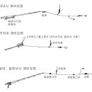 송어 얼음낚시 !! 채비법 .과 기법.! 이미지