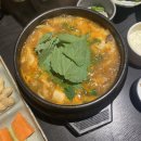 물고기삼촌 이미지